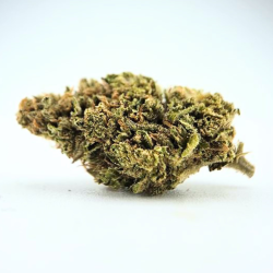 Grape Gaz - Fleur CBD - Au Coeur du Chanvre