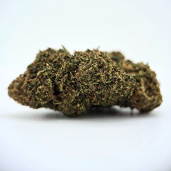 Mochi STV - FUZ -  Au Coeur du Chanvre