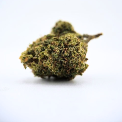 Daïquiri Banana STV - FUZ -  Au Coeur du Chanvre