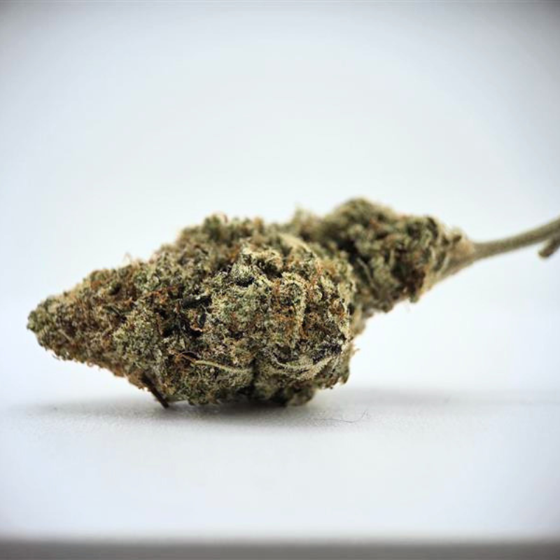 Gelato33 - Fleur CBD - Au Coeur du Chanvre