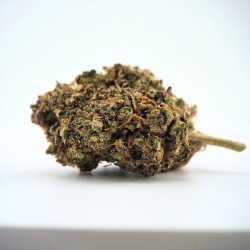 GMO Cookie - Fleur CBD - Au Coeur du Chanvre