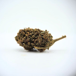 OG Kush THS - FUZ -  Au Coeur du Chanvre