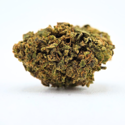 Amnesia S - Fleur CBD - Au Coeur du Chanvre