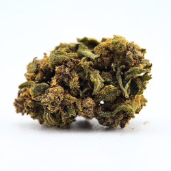 Tropical Punch - Fleurs CBD - Au Coeur du Chanvre