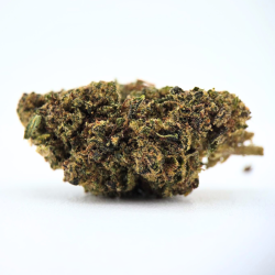 Gelato91 BZ - FUZ -  Au Coeur du Chanvre