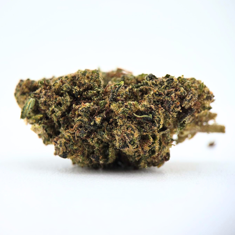 Gelato91 BZ - FUZ -  Au Coeur du Chanvre