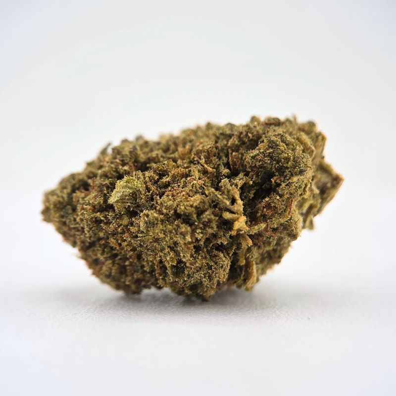 Blue Mimosa THS - FUZ -  Au Coeur du Chanvre
