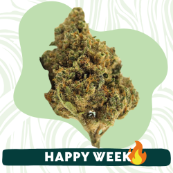Small Amnesia - Fleur CBD - Au Coeur du Chanvre