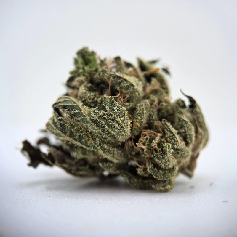 Fritter - Fleur CBD - Au Coeur du Chanvre