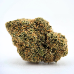 Mai Thai - Fleur CBD - Au Coeur du Chanvre