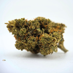 Amnesia Hydro CBC - FUZ -  Au Coeur du Chanvre