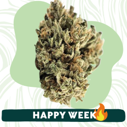 OZK - Fleur CBD - Au Coeur du Chanvre