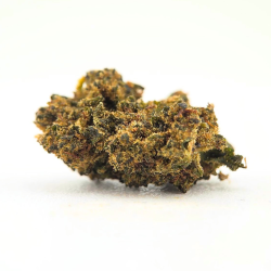 Gorilla Glue BZ - FUZ -  Au Coeur du Chanvre
