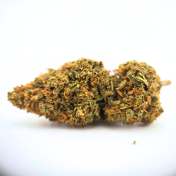 Mandarina Gorilla CP - FUZ -  Au Coeur du Chanvre