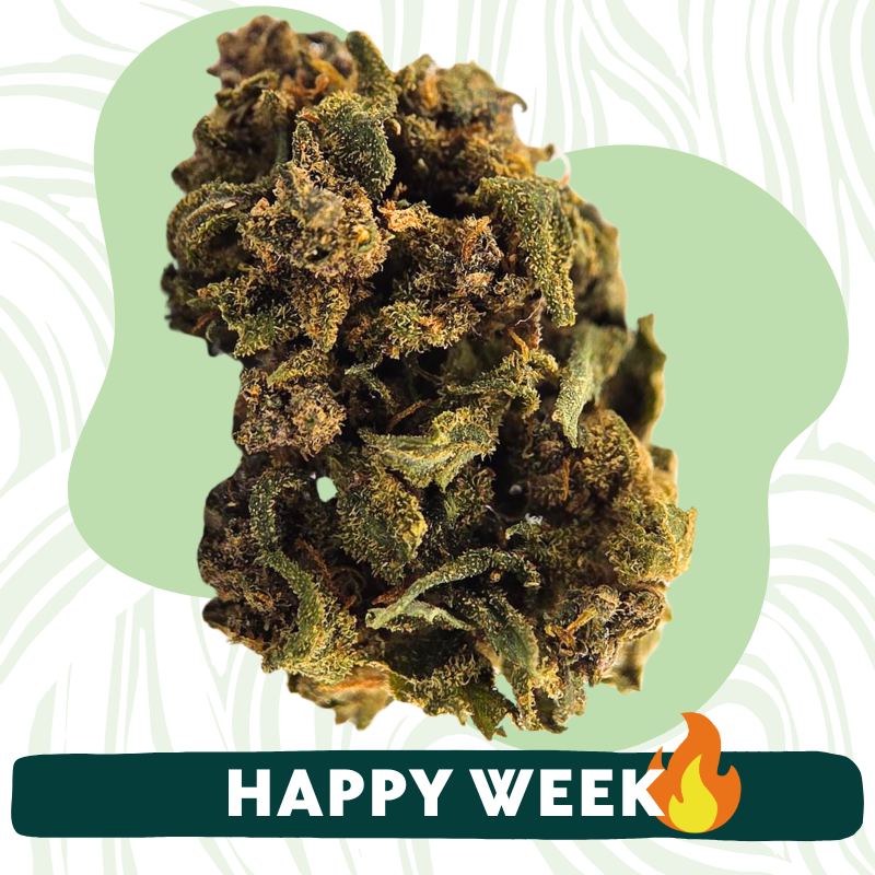 Tropical Punch - Fleurs CBD - Au Coeur du Chanvre