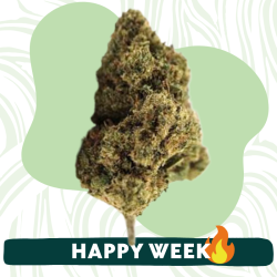 Skittles Cali - Fleur CBD - Au Coeur du Chanvre
