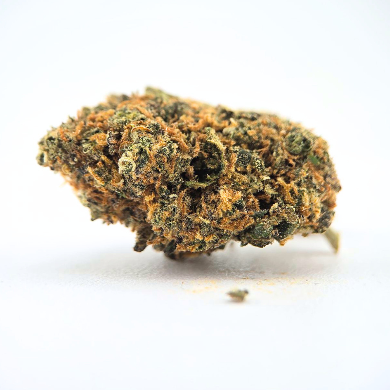 Mango - Fleur CBD - Au Coeur du Chanvre