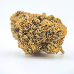 Rainbow Chip CBC - FUZ -  Au Coeur du Chanvre