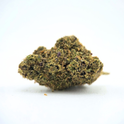 Alien Cookie - Fleur CBD - Au Coeur du Chanvre