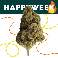 Skittles Cali - Fleur CBD - Au Coeur du Chanvre