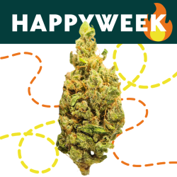 Ghost - Fleur CBD - Au Coeur du Chanvre