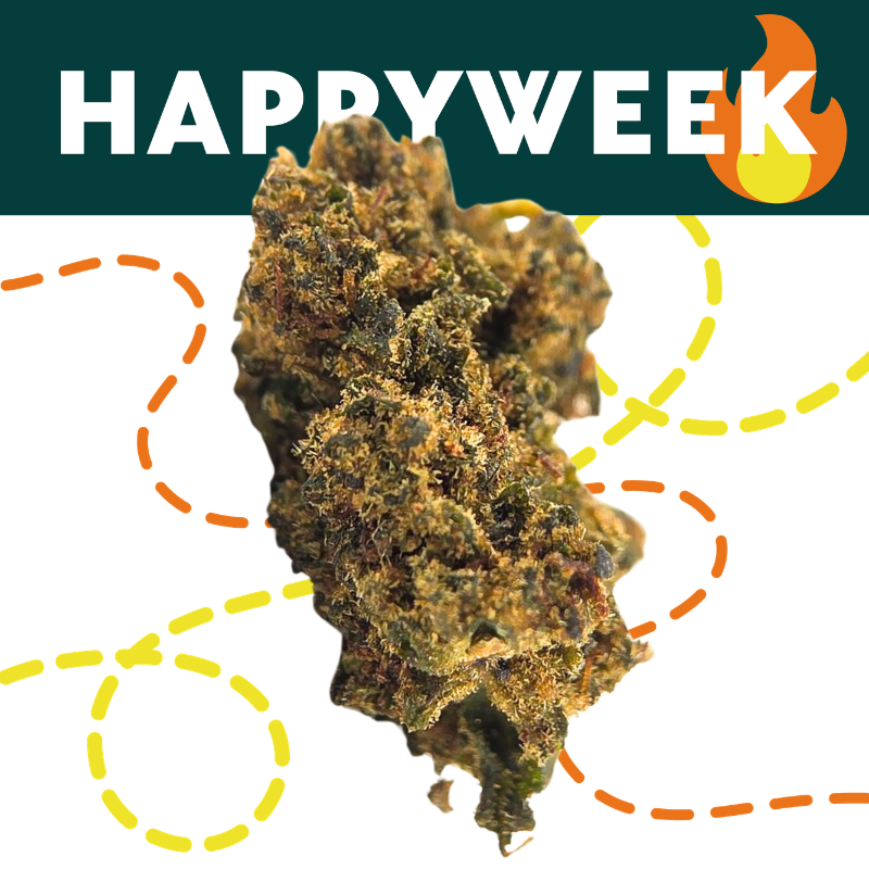 Gorilla Glue BZ - FUZ -  Au Coeur du Chanvre