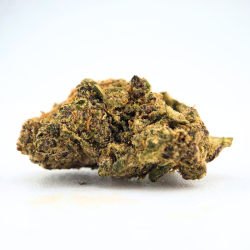 Bloody Tropicana - Fleur CBD - Au Coeur du Chanvre