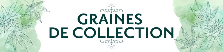 Tous nos produits Chanvre ! Boutique CBD Strasbourg - Au coeur du chanvre