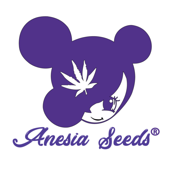 Anesia